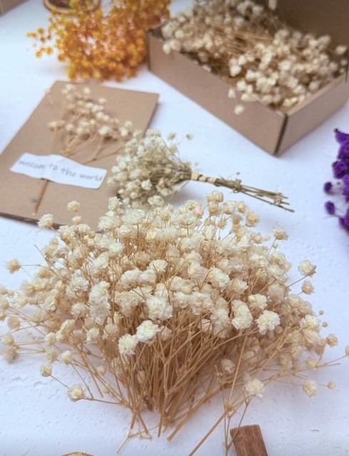 1bd4f7af-9883-4fe4-a668-cddd9024c7c1