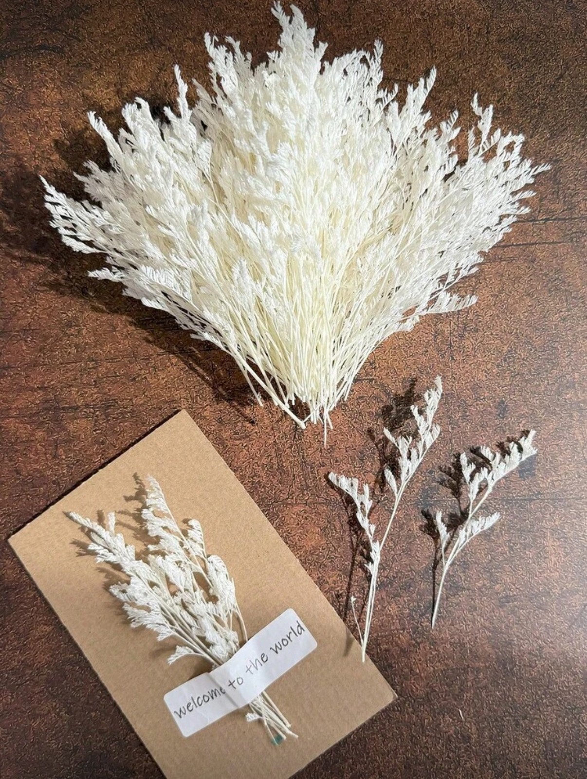 51c7808a-591b-4a9c-8dcf-8f0fe718d4a7