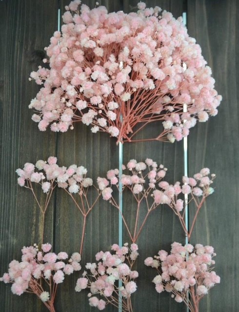 c997a337-a5f2-4de3-bf08-003292c51dc9