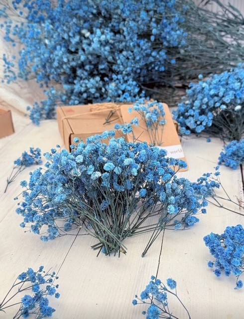 e6fce7c9-9edd-46fd-b6c7-b29b0d901bee